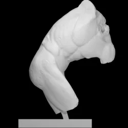 Discobolus (v2)