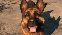 dog meat from fallout 4