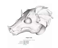 Dragon Head