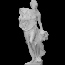 Flora