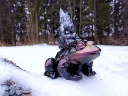 Gnome on frog (scan remix)