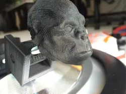 Harambe Head (Gorilla)