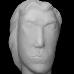 Head