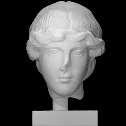 Head