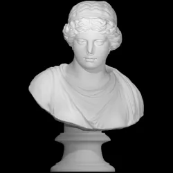 Head of a woman Goddess (?) Venus (?)