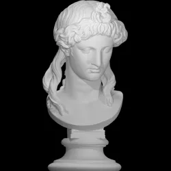 Head of a Woman or Apollo