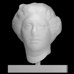Head of an Amazon