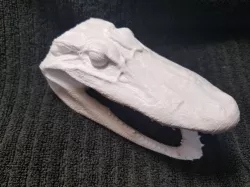High Resolution Scan of Florida Alligator Head