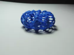 Holey Torus