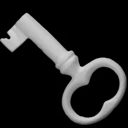 Leg Slave Shackle Key