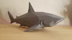 Low Poly Shark