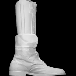 Lower Limb Prosthetic