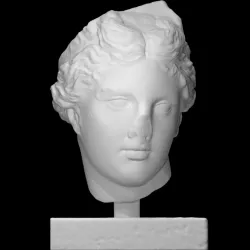 Male head