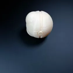 Masterball