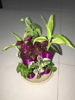 Micro-sized Stacking Pot for Indoor Plants