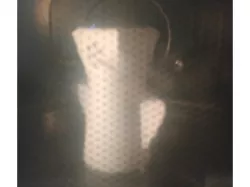 Microwave Cleaner
