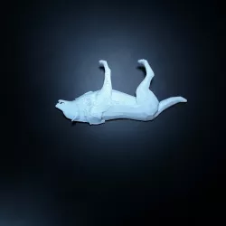 Other Half Wolf