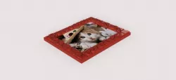 picture frame