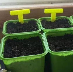 Planter signs, Small signs, Super when starting seeds indoor.