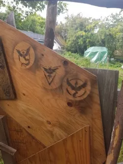 Pokemon Go Inspired Spray Stencils