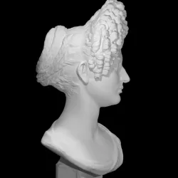 Portrait Bust of a Flavian Woman, The "Fonseca Bust"