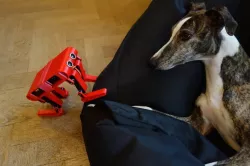 Quadruped Robot