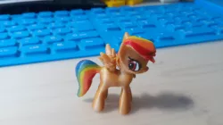 RainbowDash MLP