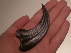 Raptor claw