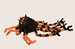 Sentinel Squid