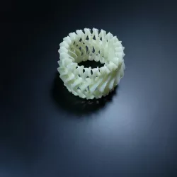 Shell Bracelet