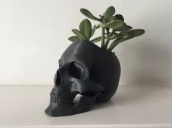 Skull Pot