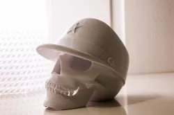 Skull with military cap