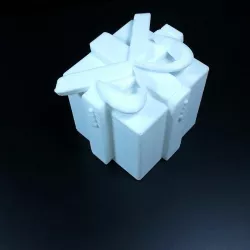 Snow Bow Present