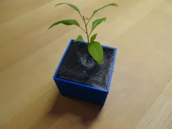 space plant pot