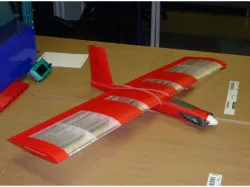 Speedy Red Midi Wing