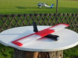 Speedy "Red Mini Wing" RC