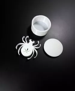 Spider Scare Box