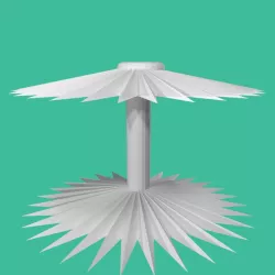 spina