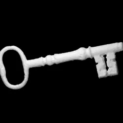 Stock Lock Key
