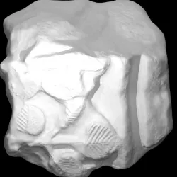Stone