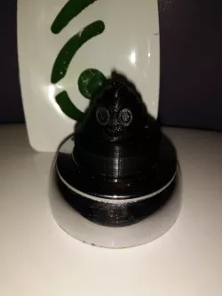 Toilet flush button