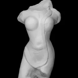 Torso