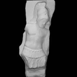 Torso