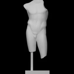 Torso