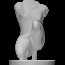 Torso of Amazzone