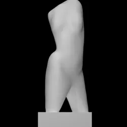 Torso