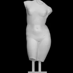 Venus Torso