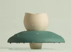 Water lily: the Floating Mug