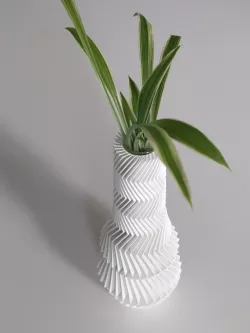 ZIG ZAG