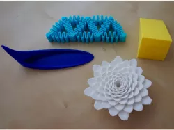3D Printed Science Projects Models